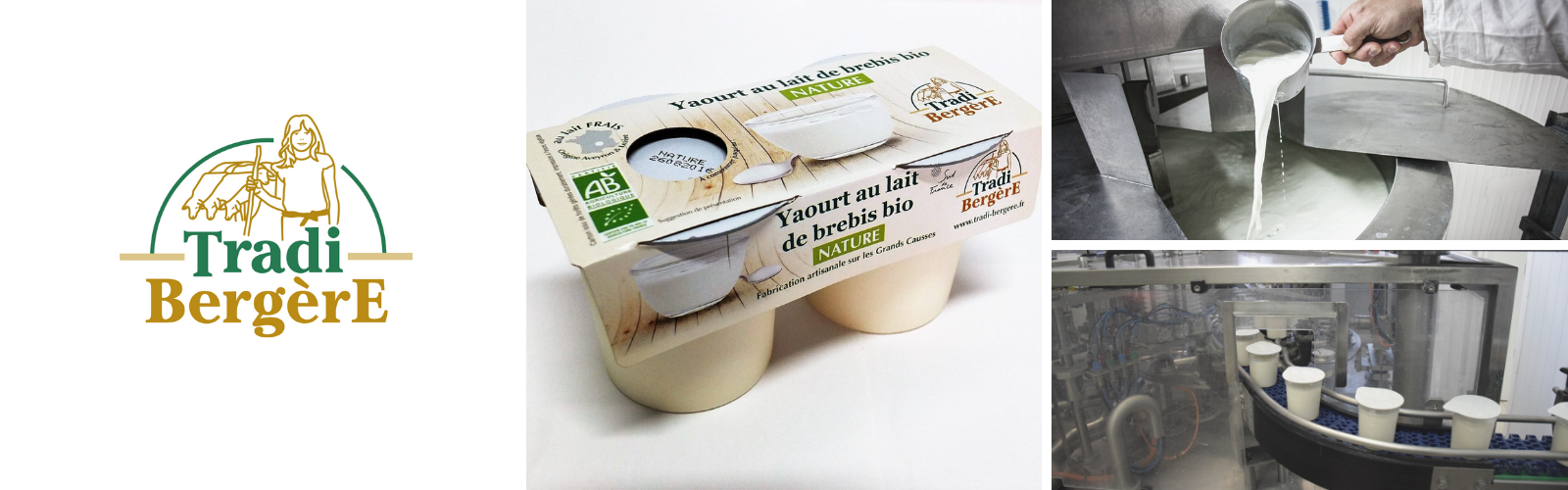 Visite gratuite de l'atelier de transformation de yaourts au lait de brebis bio